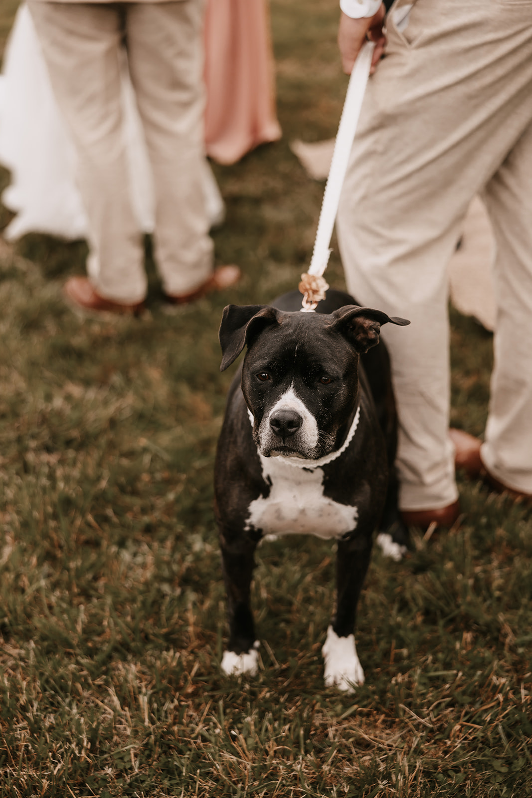 A dog standing nearby as the couple says their vows. It’s these raw and real moments that bring such joy to the wedding day, reminding you to enjoy every little detail