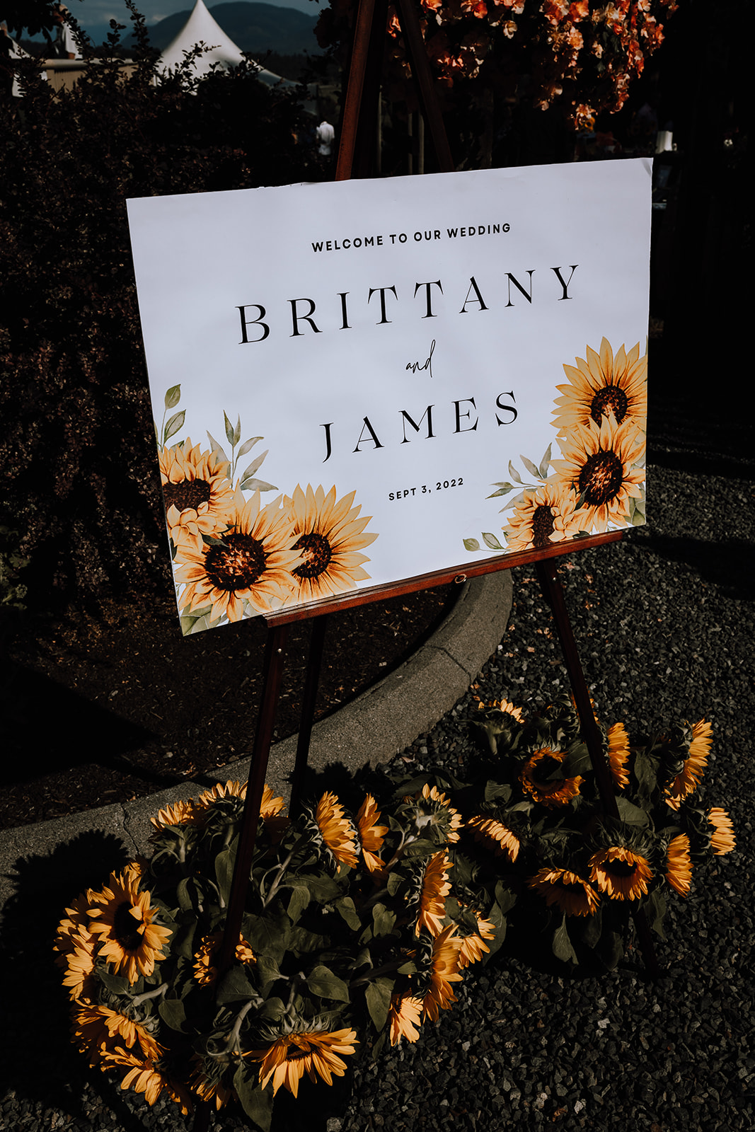 A welcoming wedding sign adorned with sunflowers, greeting guests to the beautiful backyard wedding of Brittany and James in the Fraser Valley