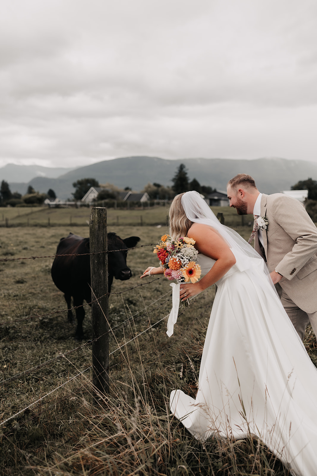 The bride and groom meet a curious cow in a picturesque rural setting, highlighting their relaxed and fun approach to a stress-free wedding day.